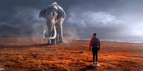 fantasy-2995326_1280